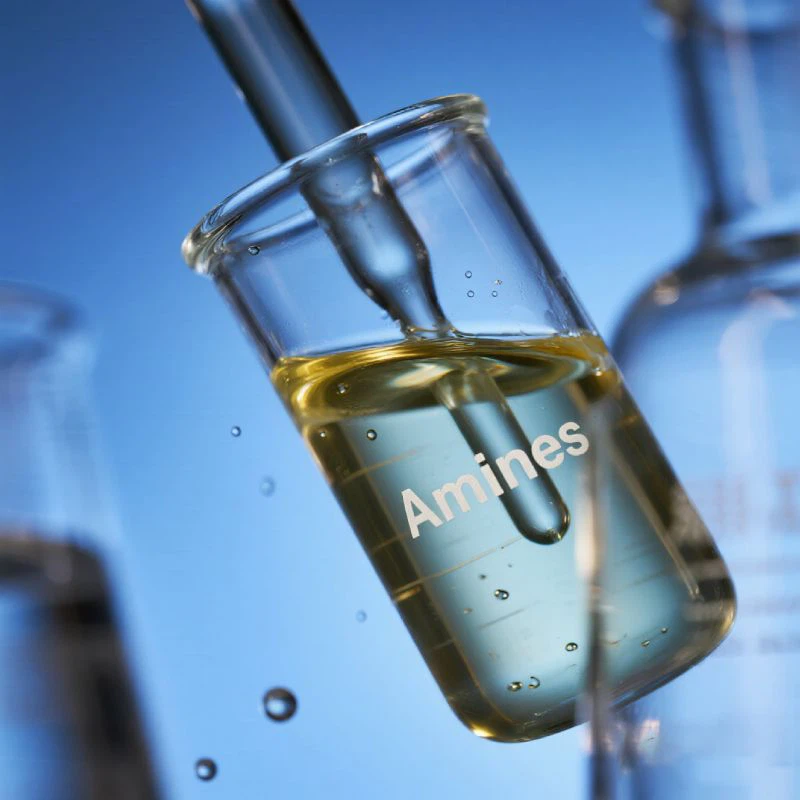 Organic Compounds Amines